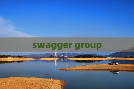 swagger group